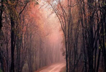 天涯神贴大赏：那些让网友熬夜刷楼的经典贴子